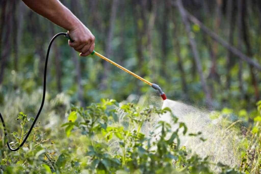 Individual using a hose to spray a garden, part of termite control services in Sacramento, CA.
